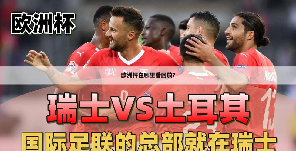 ֱŷޱĸ̨(ŷޱֱĸ̨)