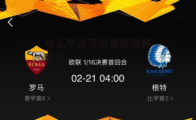 ĸŷޱֱ(ŷޱ￴ֱƽ̨)