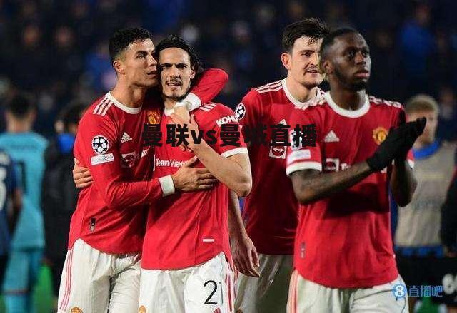 <strong>Ӣ33Ƕֱ(ӢvsǶֱ)</strong>