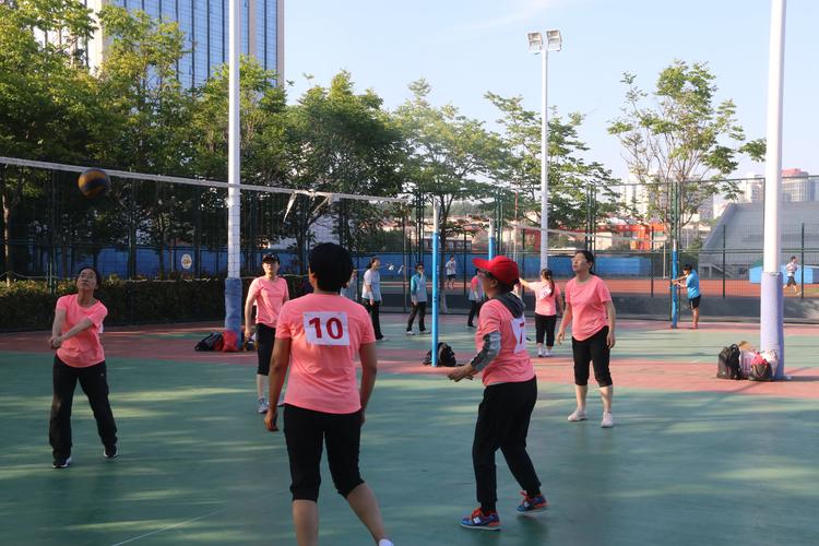 2019ŷޱֱ(2019ŷޱ)