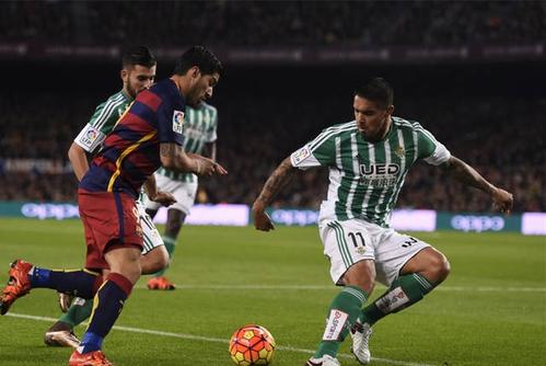 <strong>ŵ¼ֱ(յ¼ֱ)</strong>