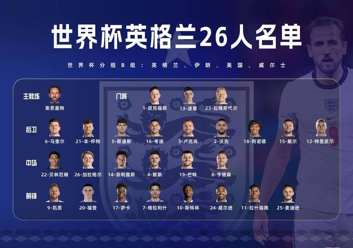 <strong>ʲôطܿӢսֱ()</strong>