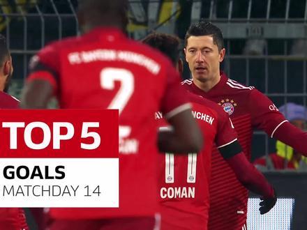 Ϊʲôֱܶ¼(¼ֱѸֱ)