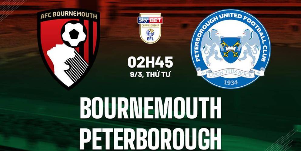 2022Ӣĸƽֱ̨(2022Ӣĸƽֱ̨)