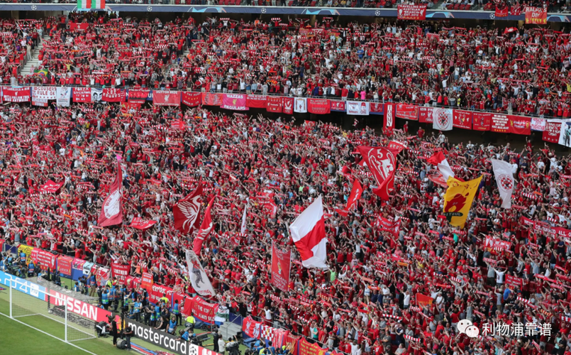 ټ¼ӢֱƵط(Ӣ¼׻ֱָƵط)