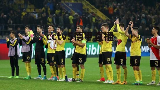 <strong>¼28ֱ(¼׵25ְֿɭֱ)</strong>