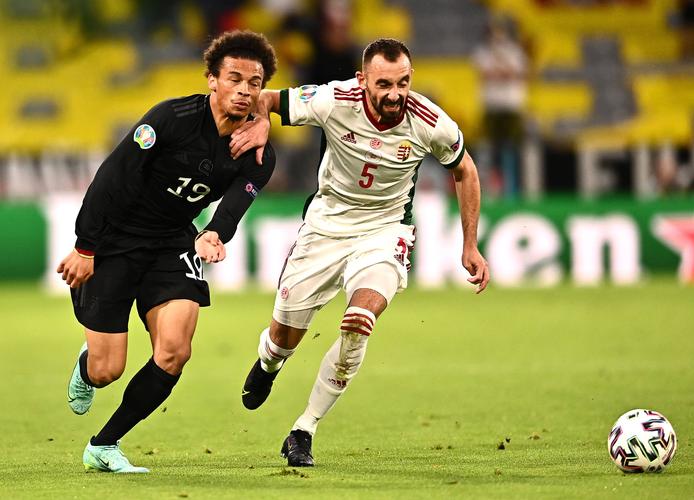 ¹ŷޱԤֱ(¹ŷޱԤ)