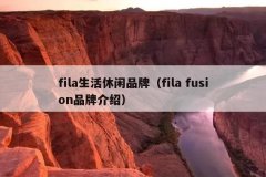 filaƷƣfila fusionƷƽܣ