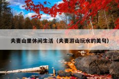 ɽɽˮ䣩