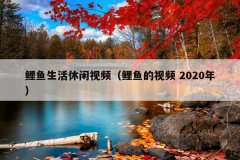 ƵƵ 2020꣩