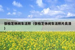 Ű֥գŰ֥Ƭ壩