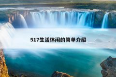 517еļ򵥽