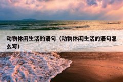 䣨ôд
