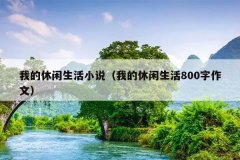 ҵС˵ҵ800ģ