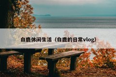 ¹¹ճvlog