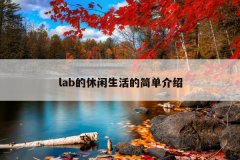 labļ򵥽