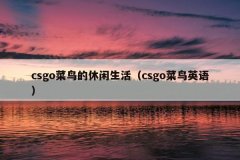 csgocsgoӢ