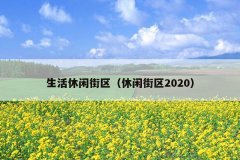 нн2020